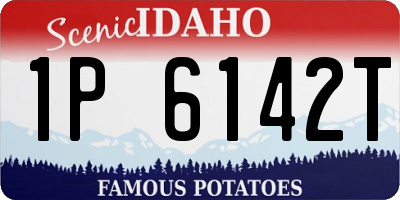 ID license plate 1P6142T