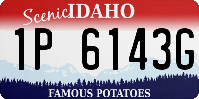 ID license plate 1P6143G
