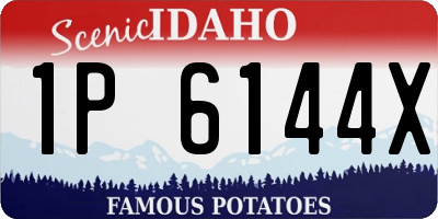 ID license plate 1P6144X