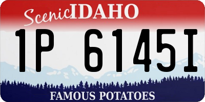 ID license plate 1P6145I