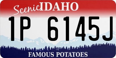 ID license plate 1P6145J