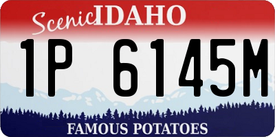ID license plate 1P6145M