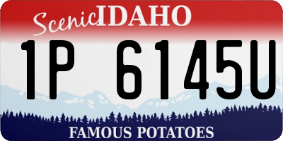 ID license plate 1P6145U