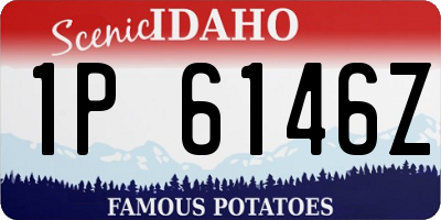 ID license plate 1P6146Z