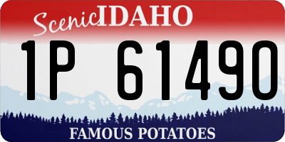 ID license plate 1P6149O