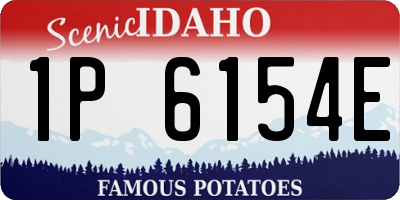 ID license plate 1P6154E