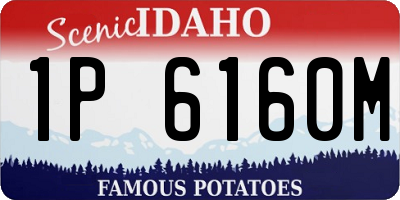 ID license plate 1P6160M