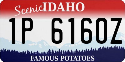 ID license plate 1P6160Z
