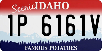 ID license plate 1P6161V
