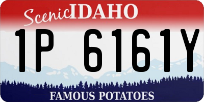 ID license plate 1P6161Y