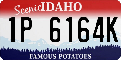 ID license plate 1P6164K