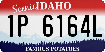 ID license plate 1P6164L
