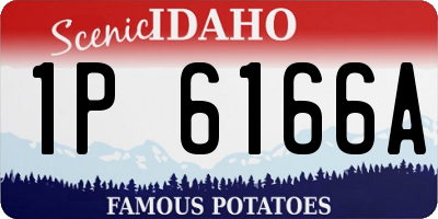 ID license plate 1P6166A