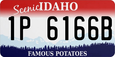 ID license plate 1P6166B