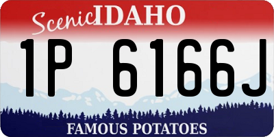 ID license plate 1P6166J