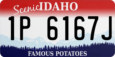 ID license plate 1P6167J