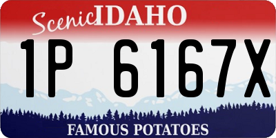 ID license plate 1P6167X