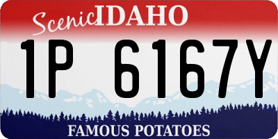 ID license plate 1P6167Y
