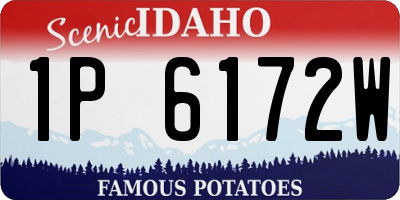ID license plate 1P6172W