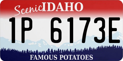 ID license plate 1P6173E