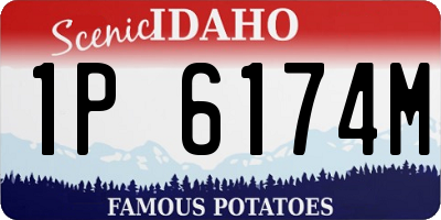 ID license plate 1P6174M