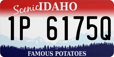 ID license plate 1P6175Q
