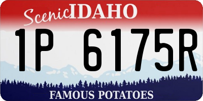 ID license plate 1P6175R
