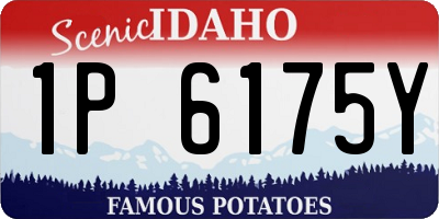 ID license plate 1P6175Y