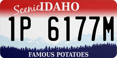 ID license plate 1P6177M