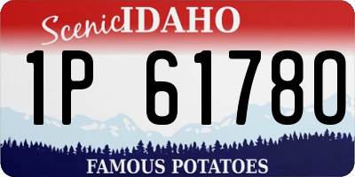 ID license plate 1P6178O