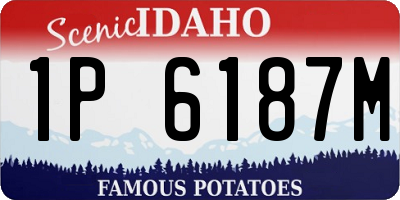 ID license plate 1P6187M
