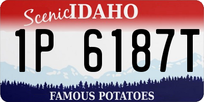 ID license plate 1P6187T