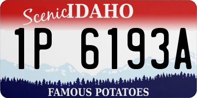 ID license plate 1P6193A