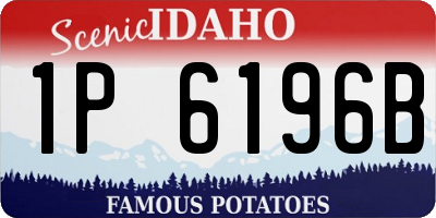 ID license plate 1P6196B