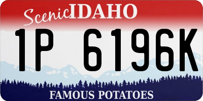 ID license plate 1P6196K