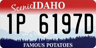 ID license plate 1P6197D