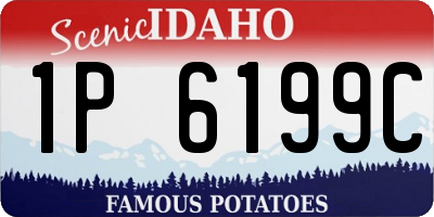 ID license plate 1P6199C