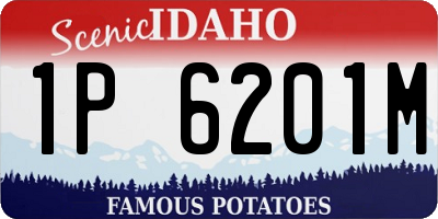 ID license plate 1P6201M