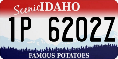 ID license plate 1P6202Z