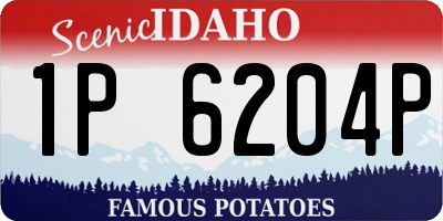 ID license plate 1P6204P