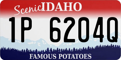 ID license plate 1P6204Q