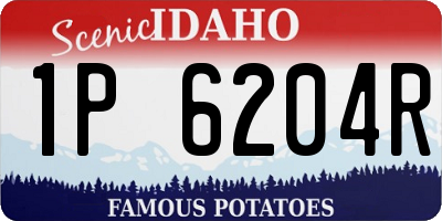 ID license plate 1P6204R