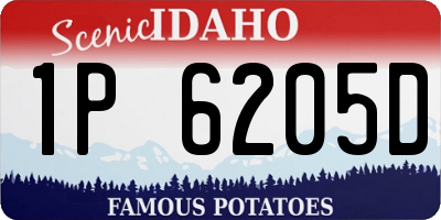 ID license plate 1P6205D