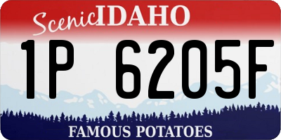 ID license plate 1P6205F