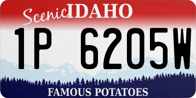 ID license plate 1P6205W
