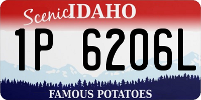 ID license plate 1P6206L