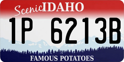 ID license plate 1P6213B