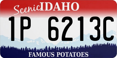 ID license plate 1P6213C