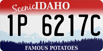 ID license plate 1P6217C