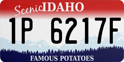 ID license plate 1P6217F
